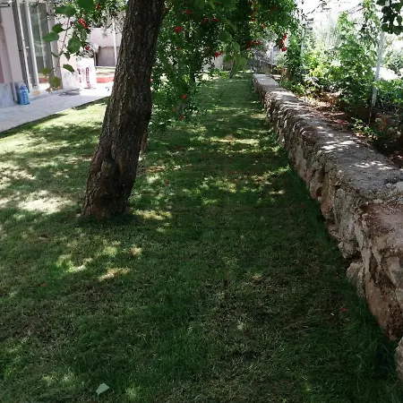 Panzió Bella Rose *