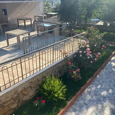 B&B Bella Rose Cedit