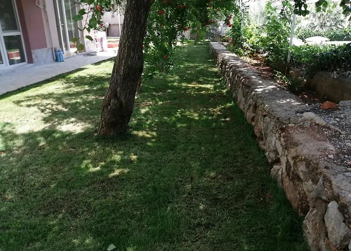 Oda ve Kahvaltı Bella Rose *